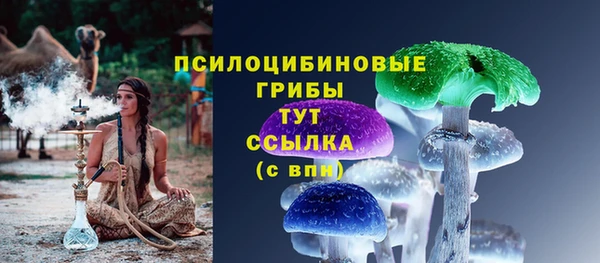 МДПВ Белокуриха